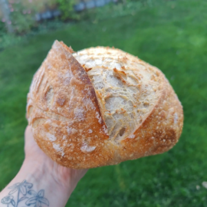 Zuurdesembrood (Bio)